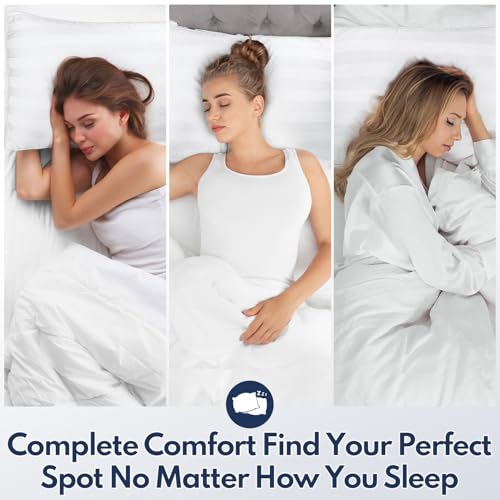 Luxury Down Alternative Pillow Set