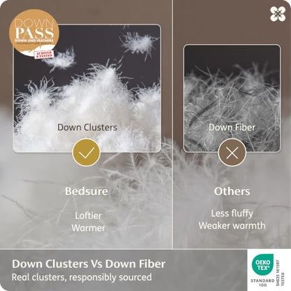 Luxury Feather Down Comforter Insert
