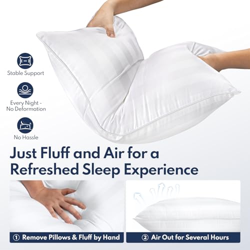 Luxury Down Alternative Pillow Set