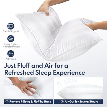Luxury Down Alternative Pillow Set