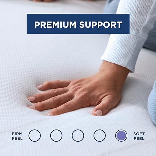 3 Inch Memory Foam Mattress Topper