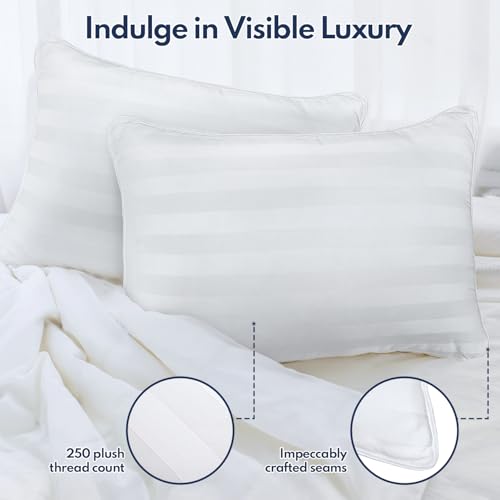 Luxury Down Alternative Pillow Set