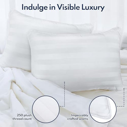 Luxury Down Alternative Pillow Set