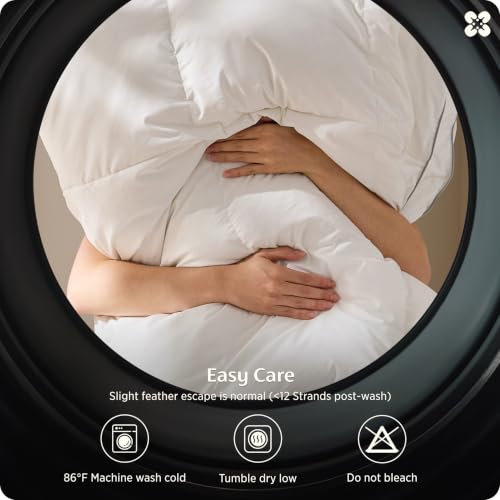 Luxury Feather Down Comforter Insert