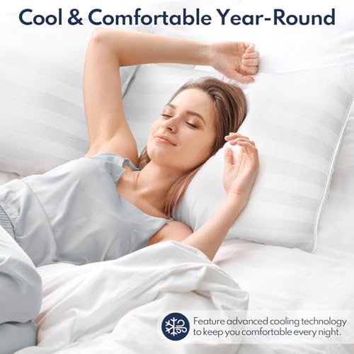 Luxury Down Alternative Pillow Set
