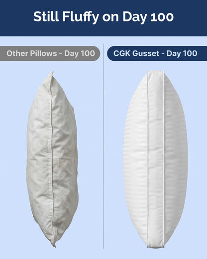 Hotel Style Down Alternative Pillow Set