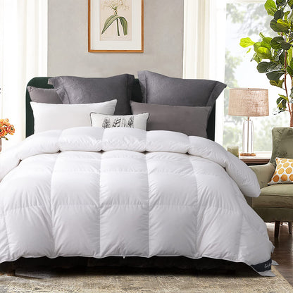 Globon Goose Down Comforter