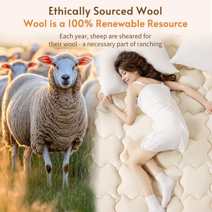 Luxury 100% Organic Wool Mattress Topper-18