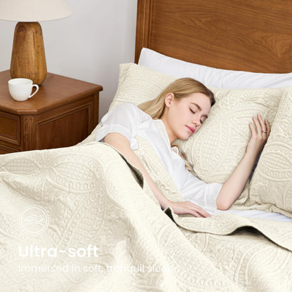 Brushed Microfiber Lightweight Quilt Set