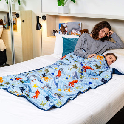 Aricove Weighted Blanket