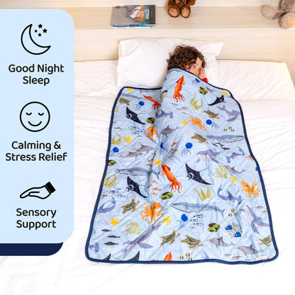 Aricove Weighted Blanket
