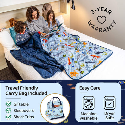 Aricove Weighted Blanket
