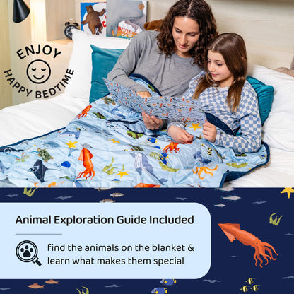 Aricove Weighted Blanket