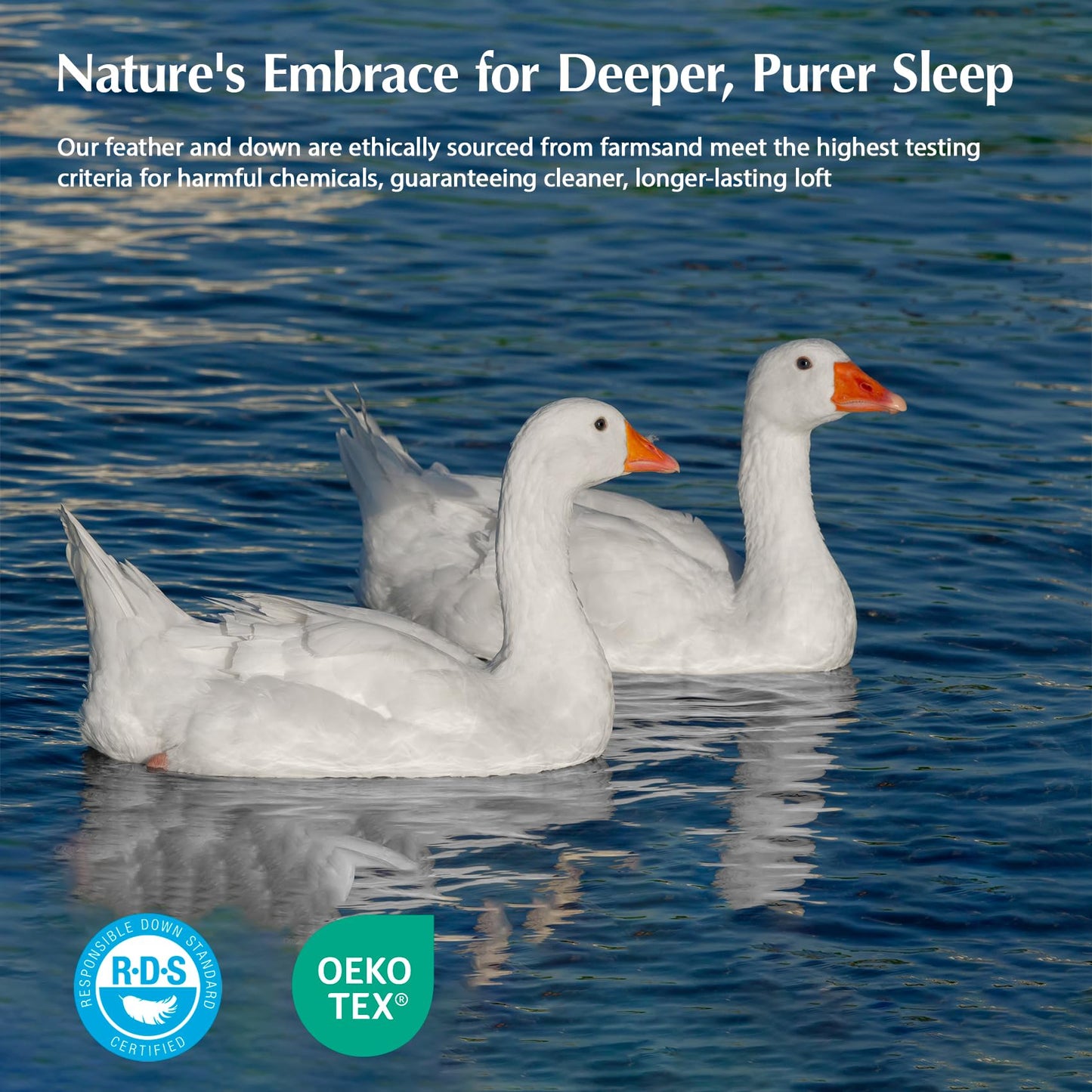 White Goose Down Comforter